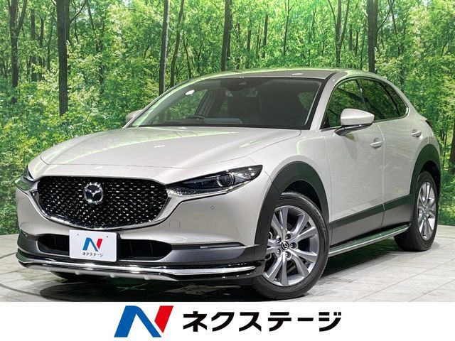 黒革シート　レーダークルーズ　誤発進抑制制御　コーナーセンサー　禁煙車