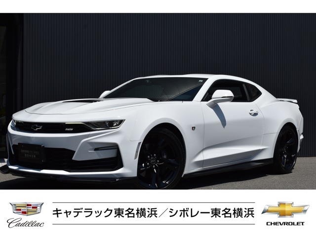 67シボレークーペ、新品、未開封品、希少 いすゞ 117クーペ 後期型（XC-J） | 株式会社 ハセガワ