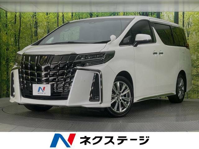 サンルーフ　フリップダウンモニター　純正9型ディスプレイオーディオ