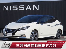 日産 リーフ G メーカーナビ プロパイロット 全周囲カメラ