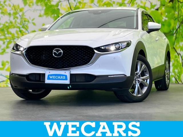 WECARS（ウィーカーズ）は全国250店舗展開！お客様が安心してカーライフをお楽しみいただけるよう社員一同心を込めてサポートいたします。