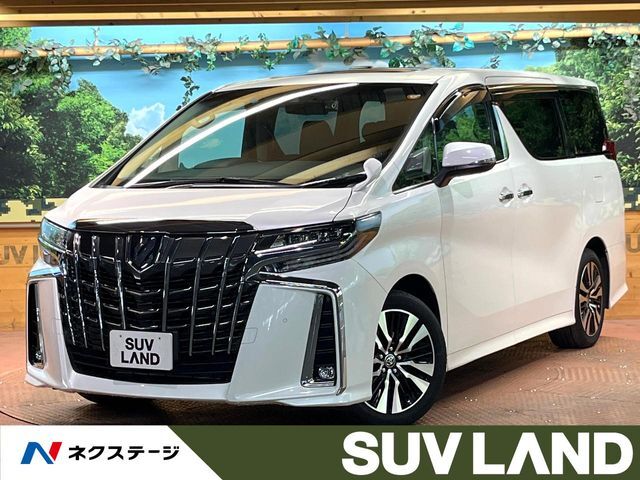 9型DA　バックカメラ　レーダークルーズ　両側電動ドア　黒革　ETC