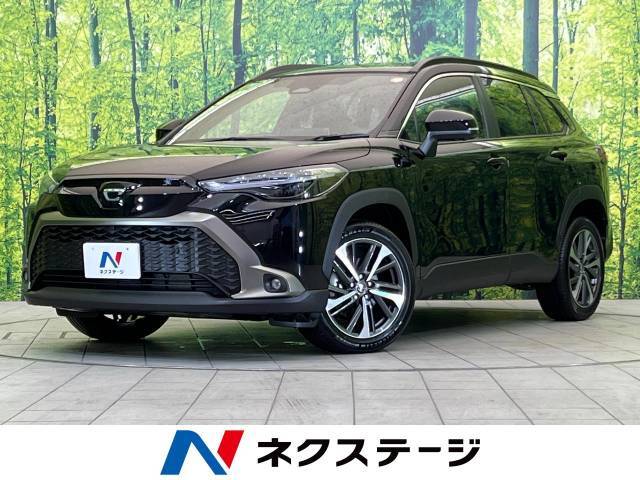 登録済未使用車　セーフティセンス　全周囲モニター　パノラマルーフ