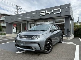 BYD BYDドルフィン ベースライン 