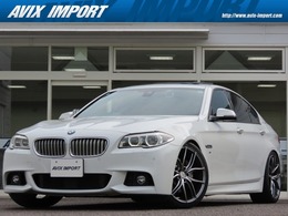 BMW 5シリーズ アクティブハイブリッド 5 Mスポーツ 後期 SR ACC LEDライト ヒーター RAYS20AW