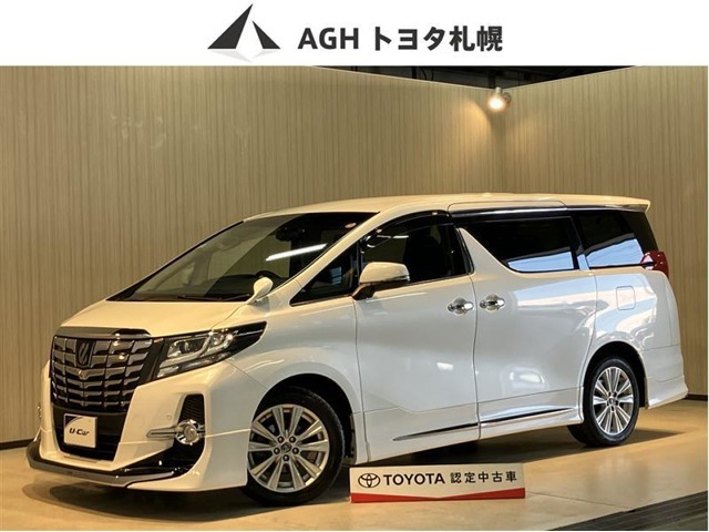 オールシーズン大活躍で家族にうれしいミニバン！
