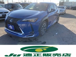 レクサス UX 250h バージョンL 4WD A/C・P/S・P/W・ABS・4WD・アルミ