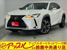 レクサス UX 250h バージョンL 衝突被害軽減ブレーキ　純正ナビ