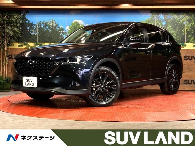 純正10型ナビ　全周囲カメラ　衝突被害軽減システム