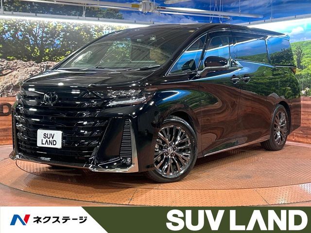 左右独立ムーンルーフ　ユニバーサルステップ　トヨタチームメイト