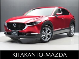 マツダ CX-30 2.0 20S プロアクティブ ツーリングセレクション ナビ　フルセグ　360°モニター