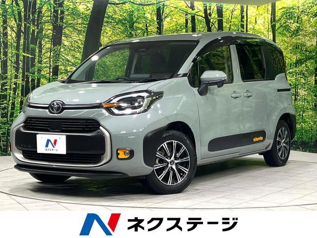 寒冷地仕様　両側電動ドア　バックカメラ　BSM　ステアリングヒーター