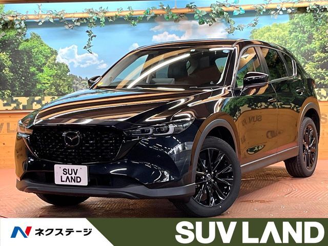 10型ナビ　全周囲カメラ　レーダークルーズ　ブラインドスポットモニター