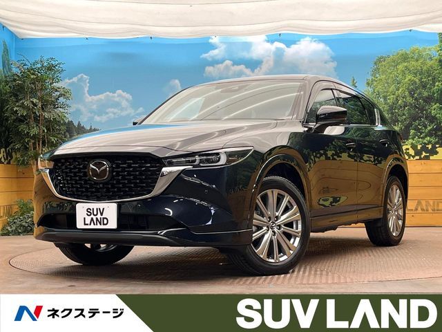 スマートブレーキ　純正10型ナビ　全周囲カメラ　BOSEサウンド