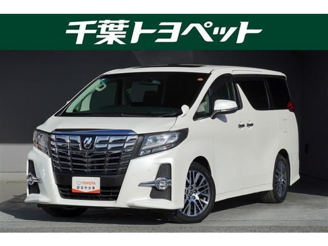 【メイン】　千葉・茨城・埼玉・東京・神奈川での登録、及びご来店いただける方への販売に限らせていただきます。