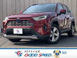 トヨタ RAV4 2.5 ハイブリッド G E-Four 4WD SR　純正9型ナビ　BSM　電動リアゲート