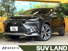 レクサス NX 300h Fスポーツ 10.3型ナビ 全周囲カメラ 電動リアゲート