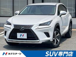 レクサス NX 300 Iパッケージ 後期 10.3型メーカーナビ バックカメラ
