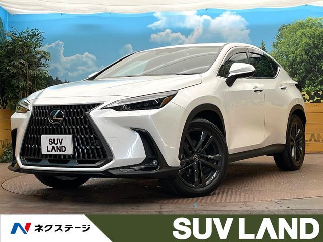 アドバンスドパーク　レーダークルーズ　禁煙車　電動リアゲート