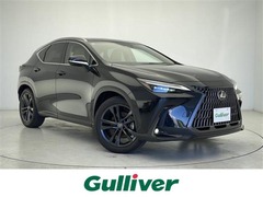 NX