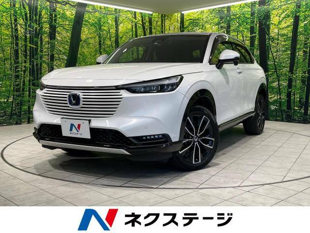 禁煙車　純正9型ナビ　衝突軽減装置　バックカメラ　アダプティブクルーズ