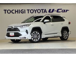 トヨタ RAV4 2.0 G Zパッケージ 4WD ナビ・全周囲カメラ　ETC　衝突被害軽減