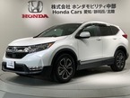 2.0 e:HEV EX マスターピース