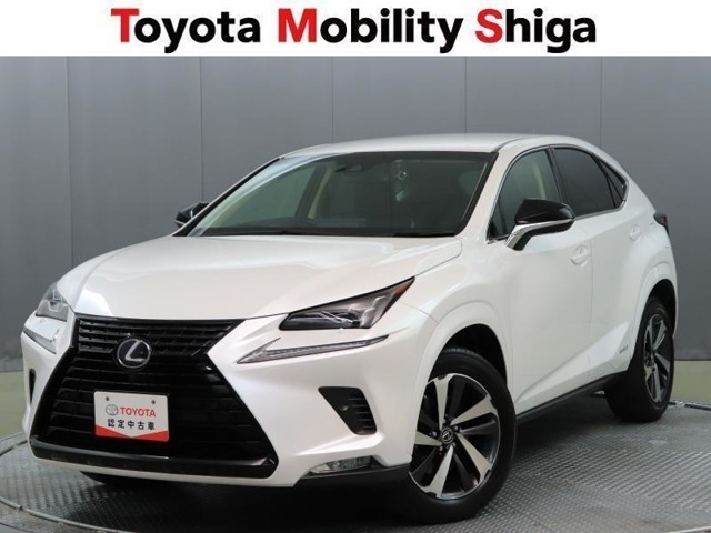 黒く塗装されたスピンドルグリルが目を引く特別仕様車のNX300hです。