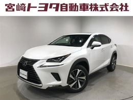 レクサス NX 300 バージョンL サンルーフ　パワーバックドア　ナビ+バッ