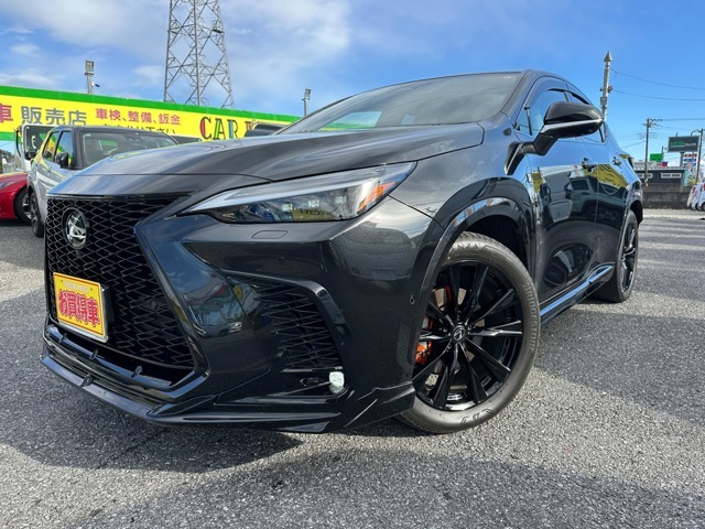 ⚠️専用ページ⚠️200t NX様 レクサス NX 200t Iパッケージ 2017年 4.1万キロ (千葉県