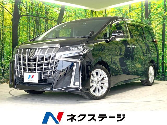 後期型　サンルーフ　純正ナビ　両側電動ドア　後席モニター　バックカメラ