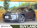 300h バージョンC