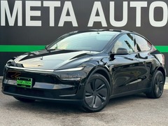 モデルY