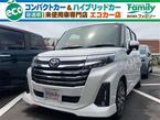 1.0 カスタム G