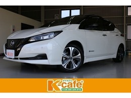 日産 リーフ X Vセレクション SOH　純正ナビ　フルセグTV　全方位モニタ