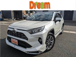 トヨタ RAV4 2.0 G Zパッケージ 4WD ナビ ETC Bカメラ ドラレコ ガラスルーフ