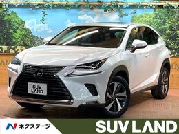 レクサス NX 300 Iパッケージ サンルーフ 10型ナビ バックカメラ 合皮