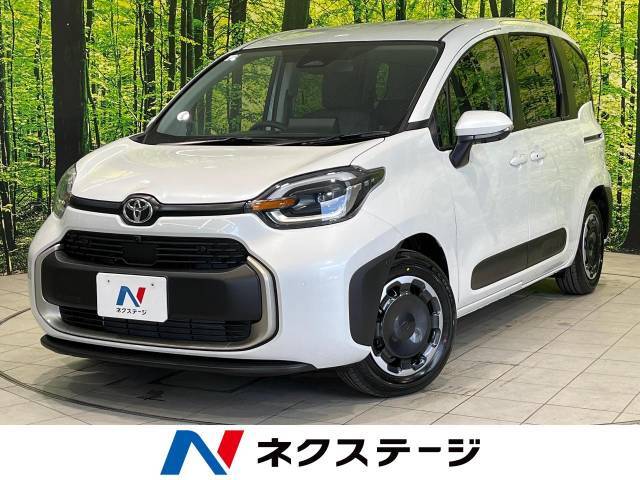 セーフティセンス　純正10型ナビ　両側電動　全周囲カメラ