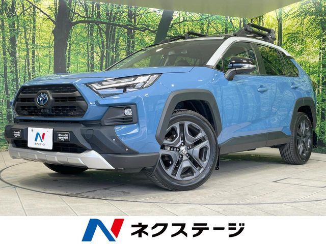 レーダークルーズ　パワーバックドア　ハーフレザーシート