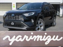 トヨタ RAV4 2.5 ハイブリッド G E-Four 4WD TSS ナビ 全方位モニター Miracast