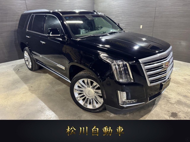 全車試乗可能です。