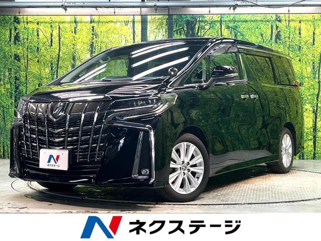 ガラスルーフ　両側電動スライドドア　アルパイン11型ナビ　衝突軽減装置