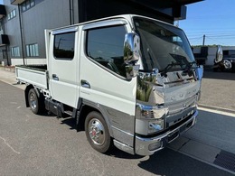 三菱ふそう キャンター 3.0 ダブルキャブ ロング 全低床 Ad Blue Wキャブ　ステンレスホイールライナー　鳥