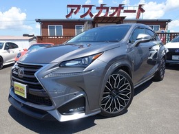 レクサス NX 300h WALDエアロ20AW　車高調　衝突軽減