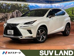 レクサス NX 300h スパイス＆シック サンルーフ/純正10.3型ナビ/パノラミックビ
