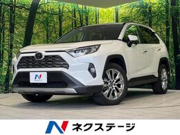 トヨタ RAV4 2.0 G Zパッケージ 4WD 4WD 純正9型SDナビ リアカメラ 衝突軽減
