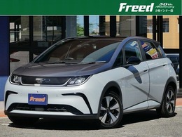 BYD BYDドルフィン ロングレンジ ナビゲーションパイロット/パノラミックガ