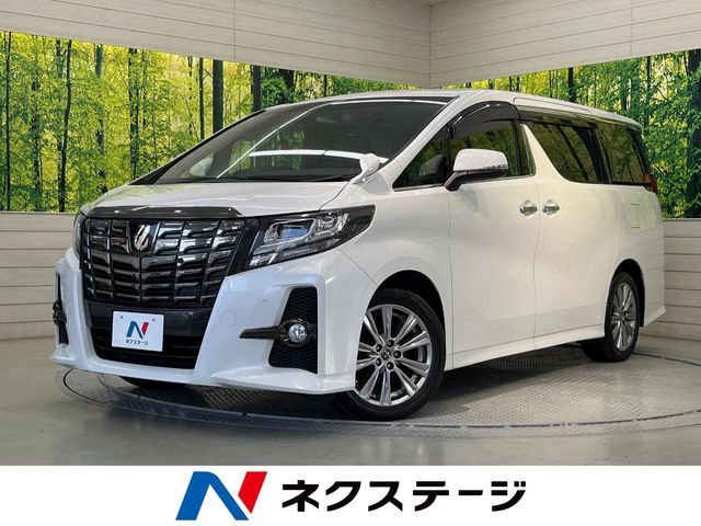 両側電動ドア　純正SDナビ　後席モニター　バックカメラ　禁煙車　ETC