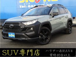 トヨタ RAV4 2.0 アドベンチャー オフロード パッケージII 4WD Dオーディオ　パノラミックビュー　TSS