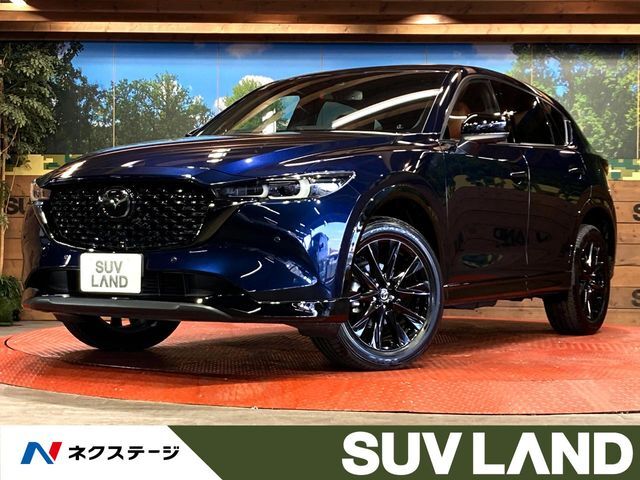 レーダークルーズ　電動リアゲート　レザーシート　パワーシート　コーナーセ
